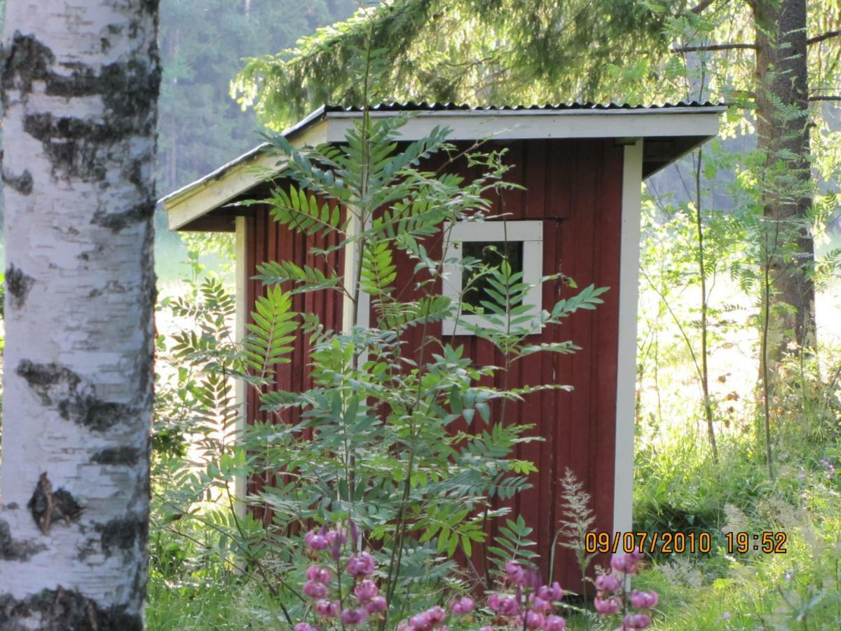 Ilmastoitu Kesaemoekki Askolassa Laehellae Porvoota Buitenkant foto